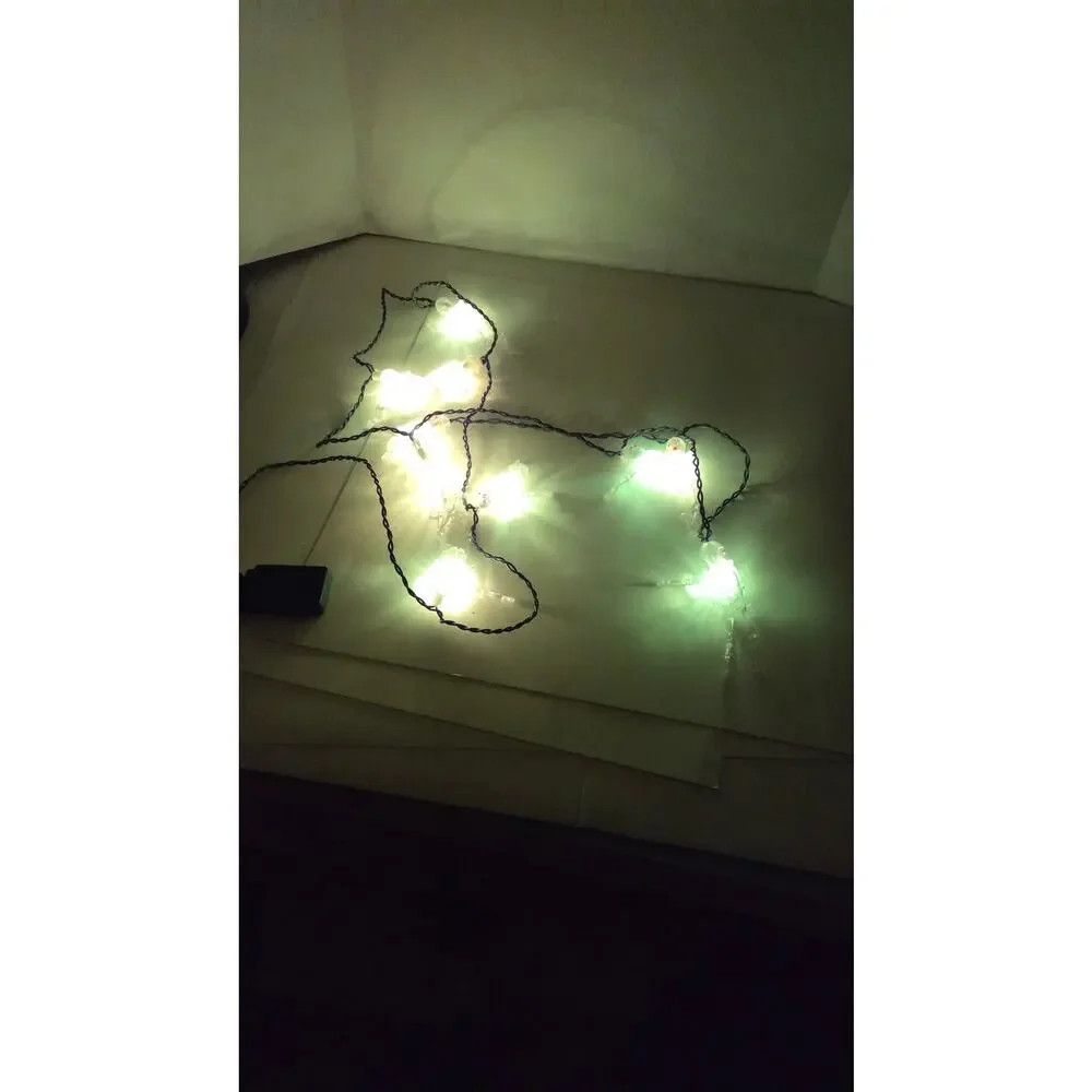 Halloween Skeleton String Flashing Lights 10 Light Set Tested Working